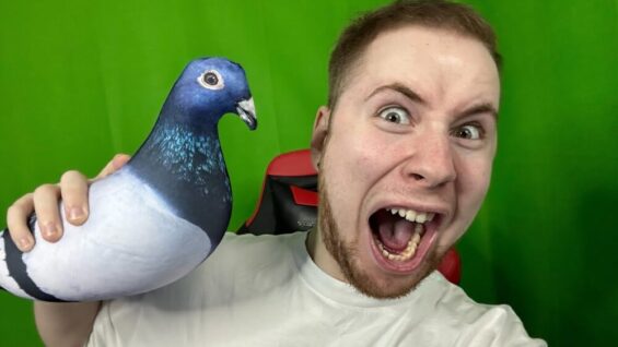 НЕНАВИЖУ ГОЛУБЕЙ