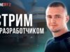 Стрим с разработчиком